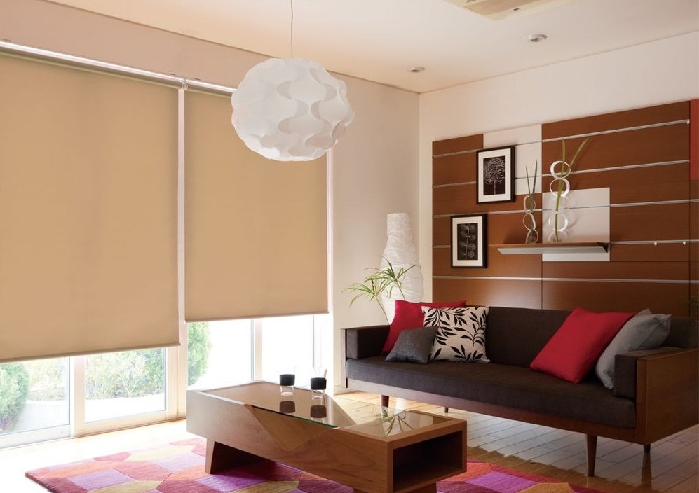 Cozy living room with a dark brown sofa, red and patterned cushions, and a wooden coffee table on a colorful rug.
