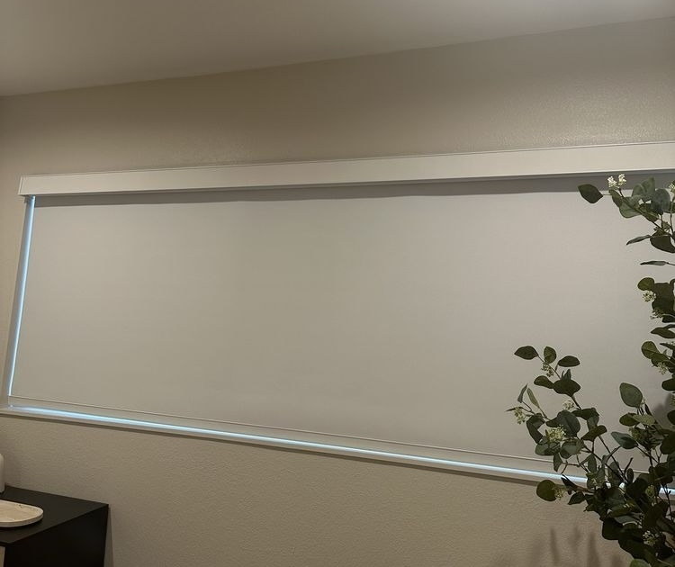 Рулонная штора Somfy Sonesse 40 WT, светло-бежевый, blackout, настенная кнопка, 0.6 м (арт. 31963), фото 3